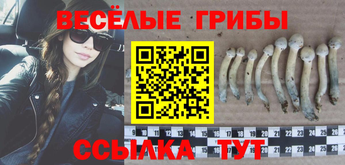 Галлюциногенные грибы MAGIC MUSHROOMS  Вход с VPN  Луховицы  Псилоцибиновые грибы прущие грибы 